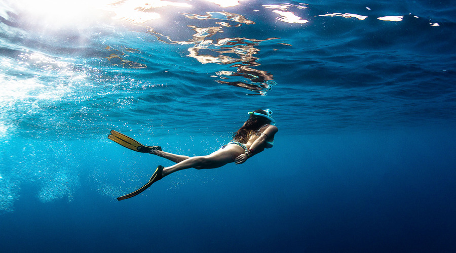 Discover Freediving Course Inset